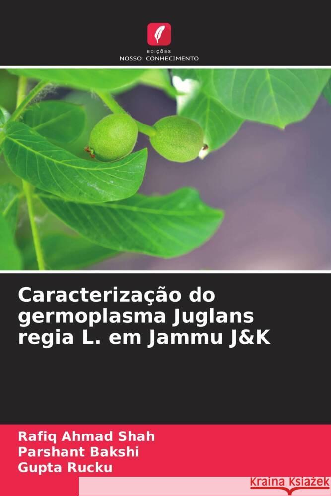 Caracteriza??o do germoplasma Juglans regia L. em Jammu J&K Rafiq Ahmad Shah Parshant Bakshi Gupta Rucku 9786205914311 Edicoes Nosso Conhecimento - książka