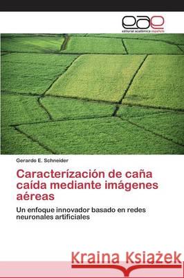 Caracterízación de caña caída mediante imágenes aéreas Schneider Gerardo E. 9783659083136 Editorial Academica Espanola - książka