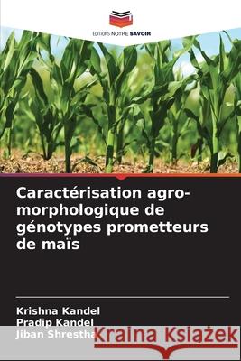 Caractérisation agro-morphologique de génotypes prometteurs de maïs Kandel, Krishna, Kandel, Pradip, Shrestha, Jiban 9786208665760 Editions Notre Savoir - książka