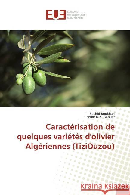 Caractérisation de quelques variétés d'olivier Algériennes (TiziOuzou) Boukhari, Rachid; Gaouar, Semir B. S. 9783639546781 Éditions universitaires européennes - książka