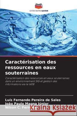 Caractérisation des ressources en eaux souterraines Pereira de Sales, Luís Fernando, Magna Júnior, João Paulo, Ferreira, Nilson C. 9786207481194 Editions Notre Savoir - książka