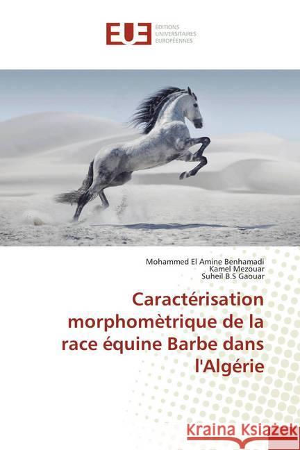 Caractérisation morphomètrique de la race équine Barbe dans l'Algérie Benhamadi, Mohammed El Amine; Mezouar, Kamel; Gaouar, Suheil B.S 9786138452331 Éditions universitaires européennes - książka