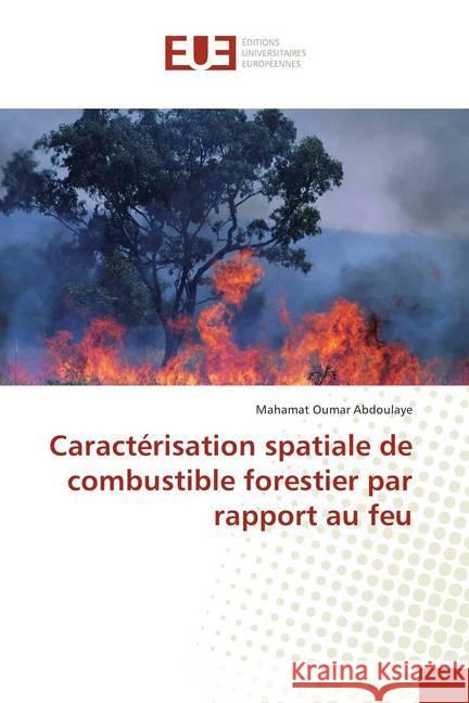 Caractérisation spatiale de combustible forestier par rapport au feu Abdoulaye, Mahamat Oumar 9786202278249 Éditions universitaires européennes - książka
