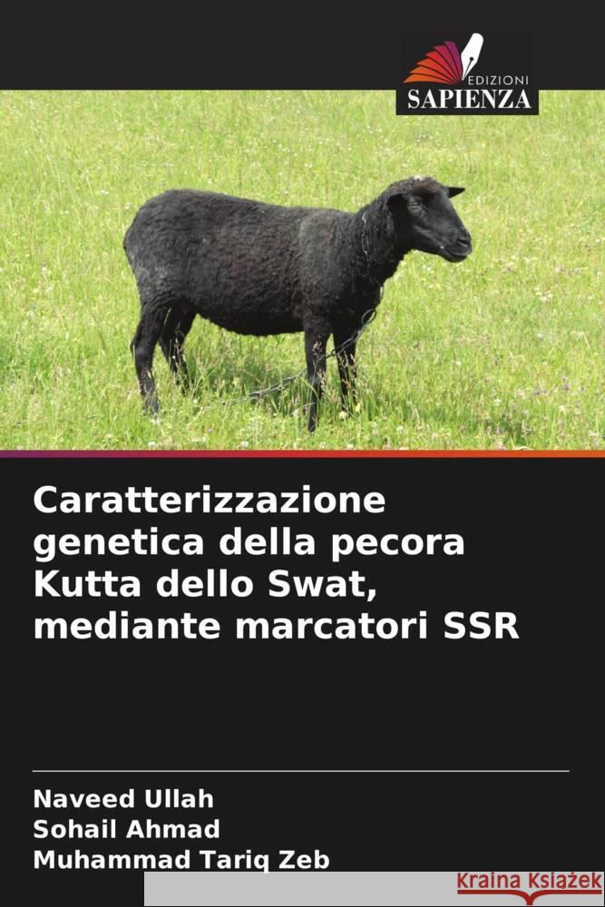 Caratterizzazione genetica della pecora Kutta dello Swat, mediante marcatori SSR Naveed Ullah Sohail Ahmad Muhammad Tari 9786208560492 Edizioni Sapienza - książka