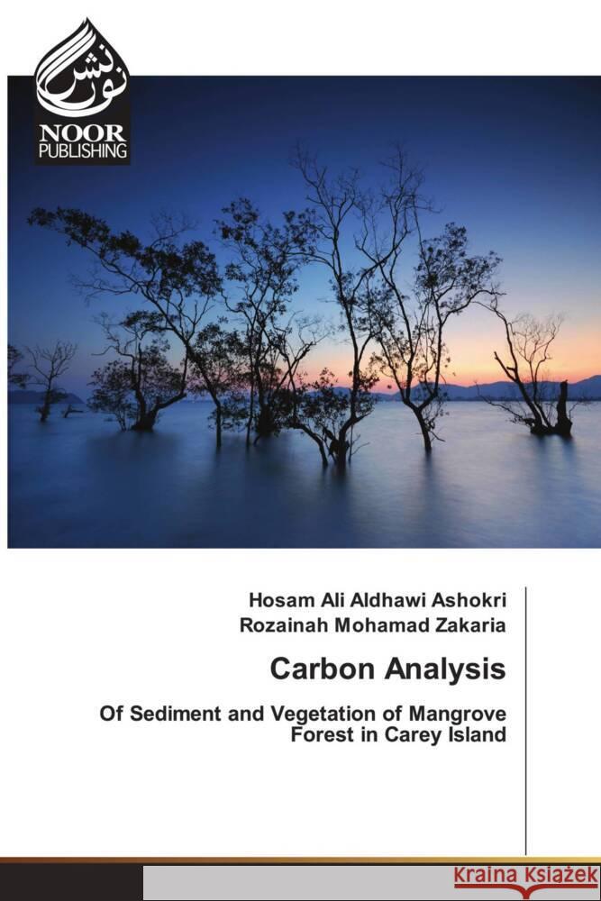 Carbon Analysis Ali Aldhawi Ashokri, Hosam, Mohamad Zakaria, Rozainah 9786204721064 Noor Publishing - książka