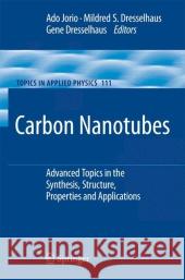 Carbon Nanotubes: Advanced Topics in the Synthesis, Structure, Properties and Applications Jorio, Ado 9783642091957 Springer - książka