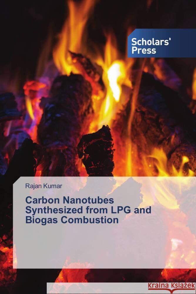 Carbon Nanotubes Synthesized from LPG and Biogas Combustion Rajan Kumar 9786138948452 Scholars' Press - książka