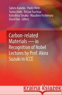 Carbon-Related Materials in Recognition of Nobel Lectures by Prof. Akira Suzuki in Icce Kaneko, Satoru 9783319871264 Springer - książka