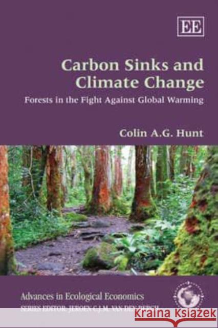 Carbon Sinks and Climate Change: Forests in the Fight Against Global Warming  9780857933850 Edward Elgar Publishing Ltd - książka