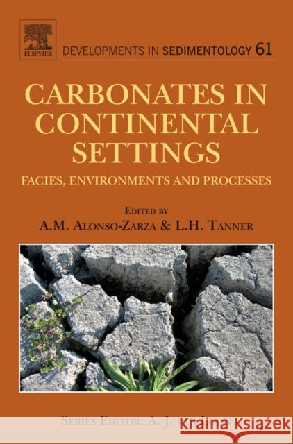 carbonates in continental settings: facies, environments, and processes volume 61  Alonso-Zarza, A. M. 9780444530257 ELSEVIER SCIENCE & TECHNOLOGY - książka