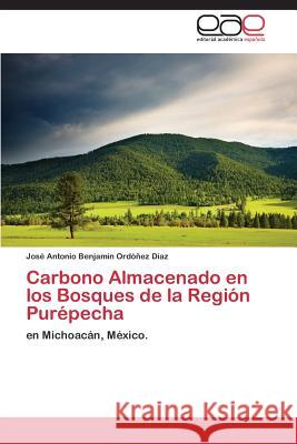 Carbono Almacenado En Los Bosques de La Region Purepecha Ordonez Diaz Jose Antonio Benjamin 9783845494883 Editorial Academica Espanola - książka