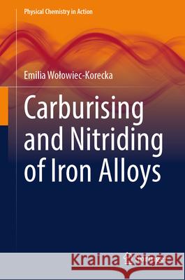 Carburising and Nitriding of Iron Alloys Emilia Wolowiec-Korecka 9783031598616 Springer - książka