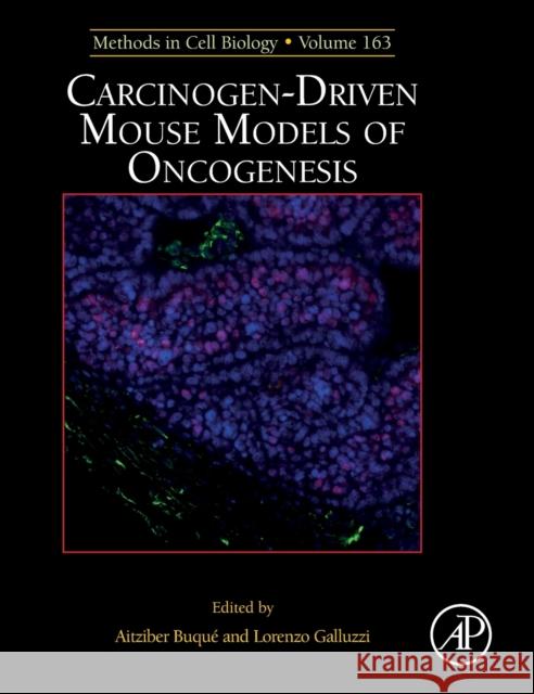 Carcinogen-Driven Mouse Models of Oncogenesis: Volume 163 Galluzzi, Lorenzo 9780128225349 Academic Press - książka