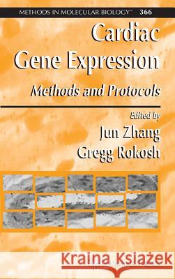 Cardiac Gene Expression: Methods and Protocols Zhang, Jun 9781588293527 Humana Press - książka