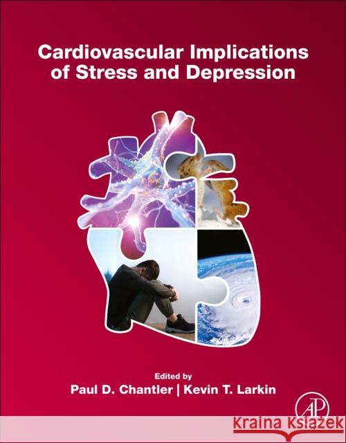 Cardiovascular Implications of Stress and Depression Paul Chantler Kevin T. Larkin 9780128150153 Academic Press - książka