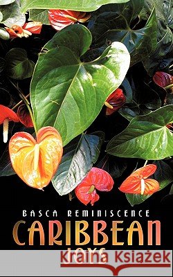 Caribbean Joys Elsa Pascal 9781456772529 Authorhouse - książka