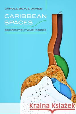 Caribbean Spaces: Escapes from Twilight Zone Carol Boyc 9780252079535 University of Illinois Press - książka