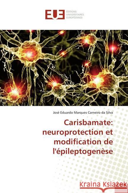 Carisbamate: neuroprotection et modification de l'épileptogenèse Marques Carneiro da Silva, José Eduardo 9786138405733 Éditions universitaires européennes - książka