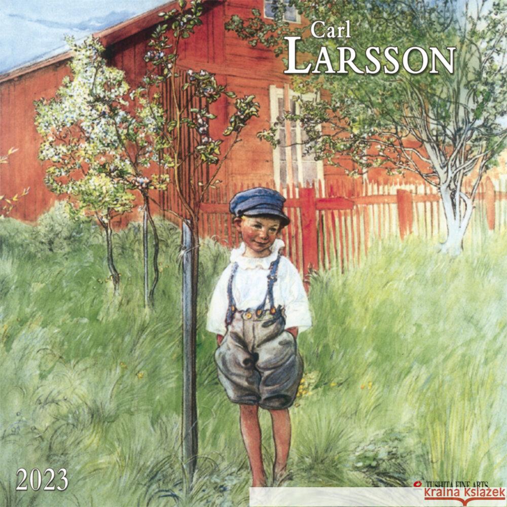 Carl Larsson 2023  9783959290647 Tushita - książka