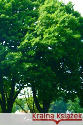 Carmina Mariana: An English Anthology In Verse In Honour Of Or In Relation To The Blessed Virgin Mary Shipley M. a., Orby 9781470039011 Createspace - książka