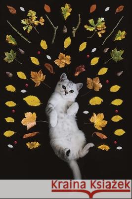 Carnet de Mots de Passe - Sites Internet: Le titre n'apparaît sur la couverture - Petit organiseur avec onglets alphabétiques de A à Z pour se rappele Mes Mots de Pass Publishing 9781672211345 Independently Published - książka