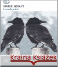 Čarodějnice Marie Ndiaye 9788072038787 Argo - książka