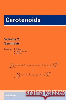 Carotenoids: Volume 2: Synthesis Pfander, Hanspeter 9783764352974 Birkhauser - książka