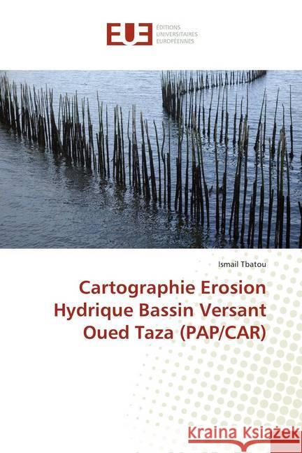 Cartographie Erosion Hydrique Bassin Versant Oued Taza (PAP/CAR) Tbatou, Ismail 9783841727220 Éditions universitaires européennes - książka