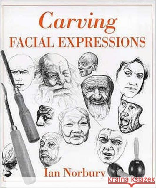 Carving Facial Expressions Ian Norbury 9780854420674 Stobart Davies Ltd - książka