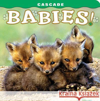 Cascade: Babies! Tom And Pat Leeson Wendy Shattill Bob Rozinski 9781560373308 Farcountry Press - książka
