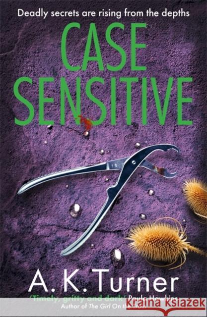 Case Sensitive: A gripping forensic mystery set in Camden A. K. Turner 9781804180594 Bonnier Books Ltd - książka