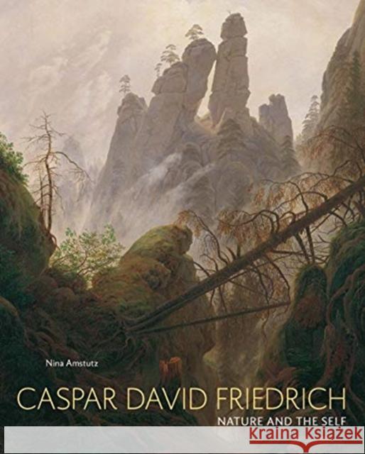 Caspar David Friedrich: Nature and the Self Nina Amstutz 9780300246162 Yale University Press - książka