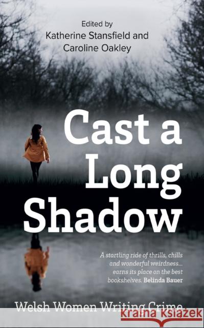 Cast A Long Shadow  9781912905584 Honno Ltd - książka