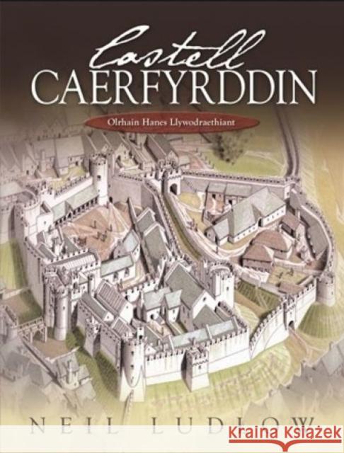 Castell Caerfyrddin : Olrhain Hanes Llywodraethiant Annes Glyn Neil Ludlow  9781783160464 University of Wales Press - książka