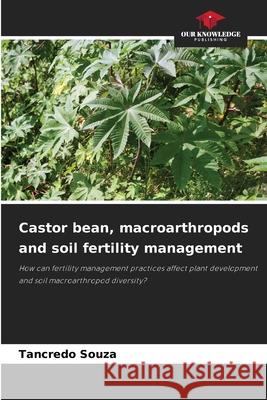 Castor bean, macroarthropods and soil fertility management Tancredo Souza 9786209422027 Our Knowledge Publishing - książka