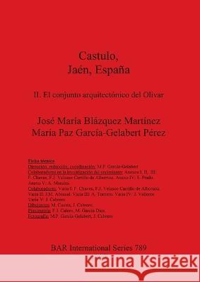 Castulo, Jaen, Espana: El Conjunto Arquitectonico del Olivar: v. 2  9781841711065 British Archaeological Reports - książka