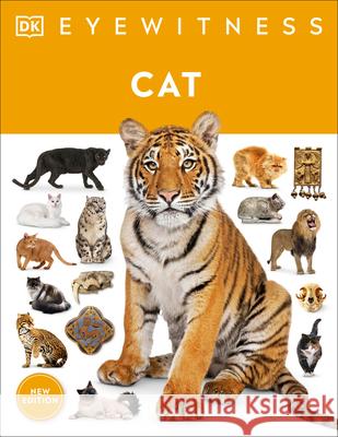 Cat DK 9780744050721 DK Publishing (Dorling Kindersley) - książka