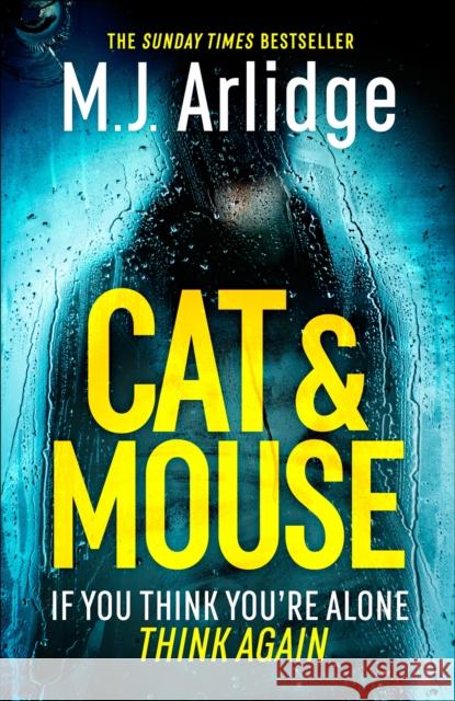 Cat And Mouse: The Addictive and Gripping Crime Thriller of 2025 M. J. Arlidge 9781409188520 Orion Publishing Co - książka