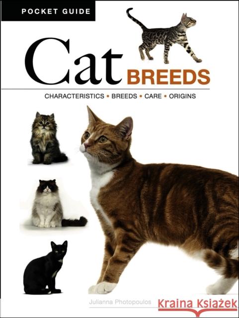 Cat Breeds: Characteristics * Breeds * Care * Origins Julianna Photopoulos 9781838866068 Amber Books Ltd - książka