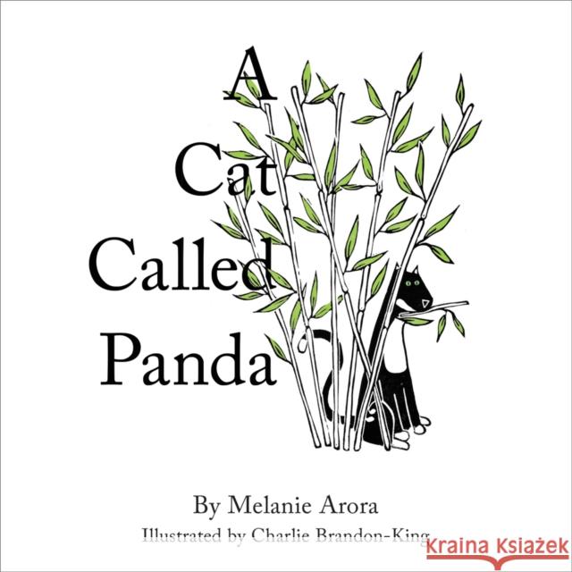 Cat Called Panda Melanie Arora 9781908985231 GUILD OF MASTER CRAFTSMEN - książka