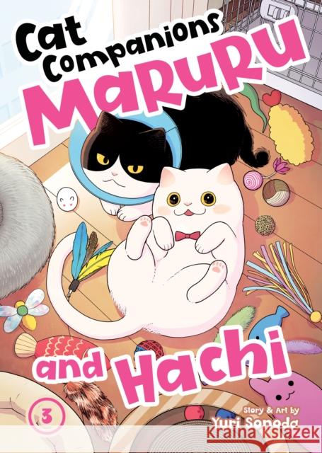 Cat Companions Maruru and Hachi Vol. 3 Yuri Sonoda 9798891605497 Seven Seas Entertainment, LLC - książka