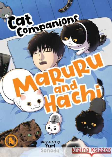 Cat Companions Maruru and Hachi Vol. 4 Yuri Sonoda 9798893733464 Seven Seas Entertainment, LLC - książka