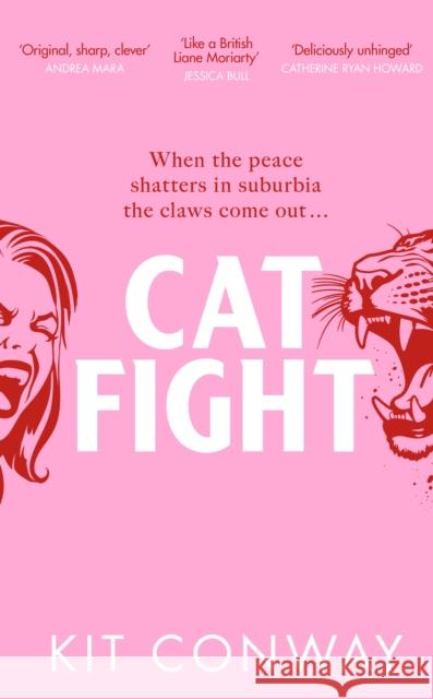 Cat Fight Kit Conway 9780857506603 Transworld Publishers Ltd - książka