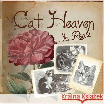 Cat Heaven Is Real D. C. Blackbird Leah Frieday 9781477569504 Createspace - książka