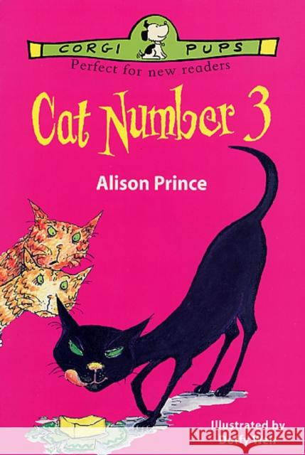 Cat Number Three Alison Prince 9780552546201 RANDOM HOUSE CHILDREN'S BOOKS - książka