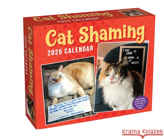 Cat Shaming 2025 Day-to-Day Calendar Pedro Andrade 9781524889319 Andrews McMeel Publishing - książka