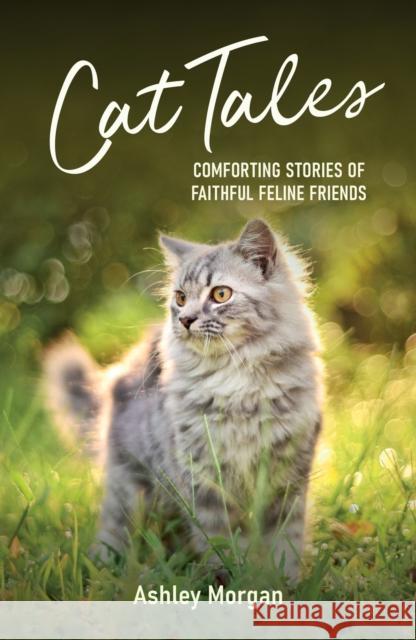 Cat Tales: Comforting Stories of Faithful Feline Friends Ashley Morgan 9781837992829 Octopus Publishing Group - książka