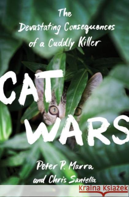 Cat Wars: The Devastating Consequences of a Cuddly Killer Marra, Peter P. 9780691167411 Princeton University Press - książka