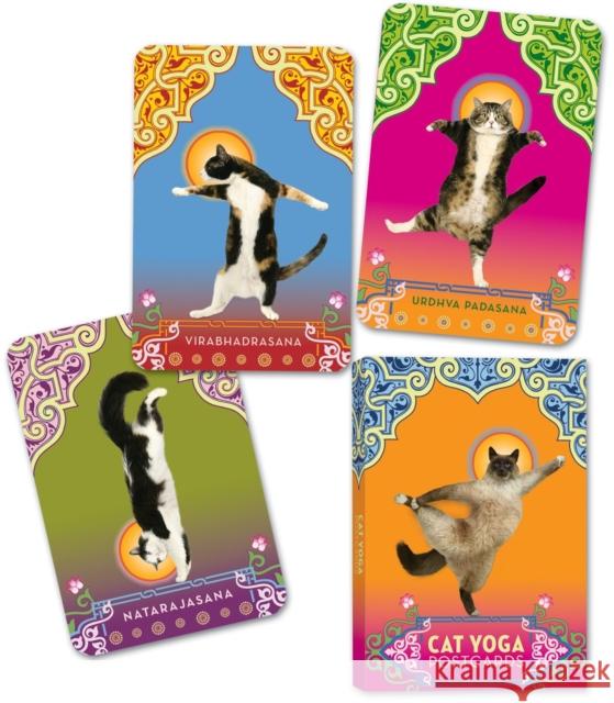 Cat Yoga Postcards Rick Tillotson 9780307395429 Potter Style - książka