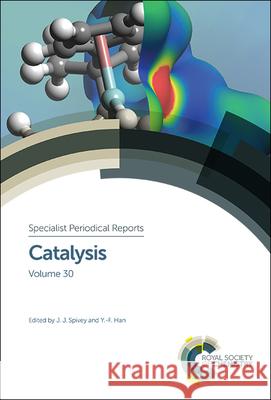 Catalysis: Volume 30 Avelino Corma 9781788011518 Royal Society of Chemistry - książka